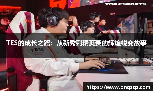 VSport胜利因您更精彩