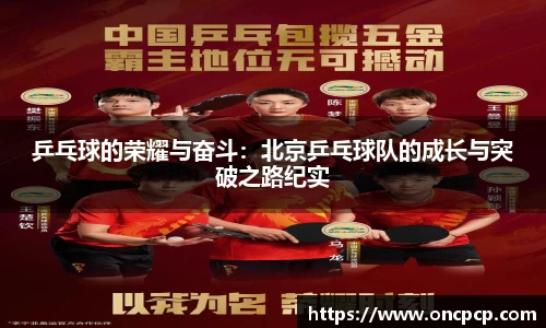 VSport胜利因您更精彩