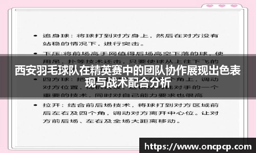 西安羽毛球队在精英赛中的团队协作展现出色表现与战术配合分析